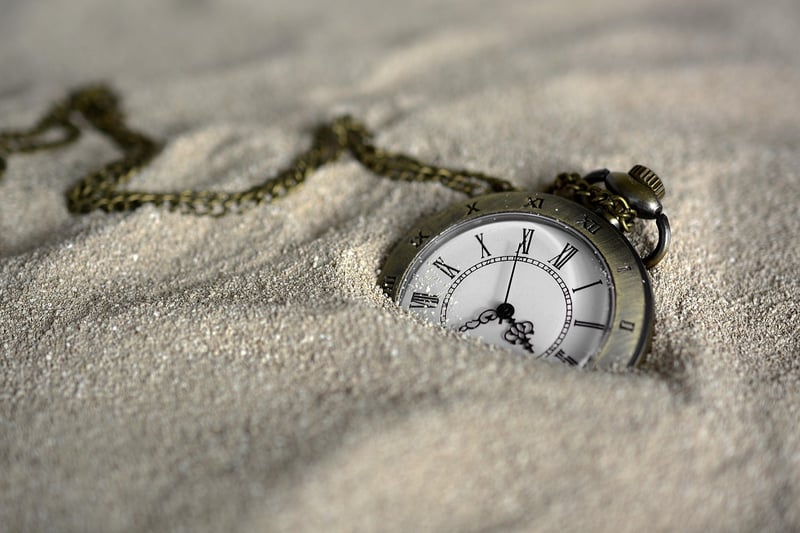 Temporal Guardian